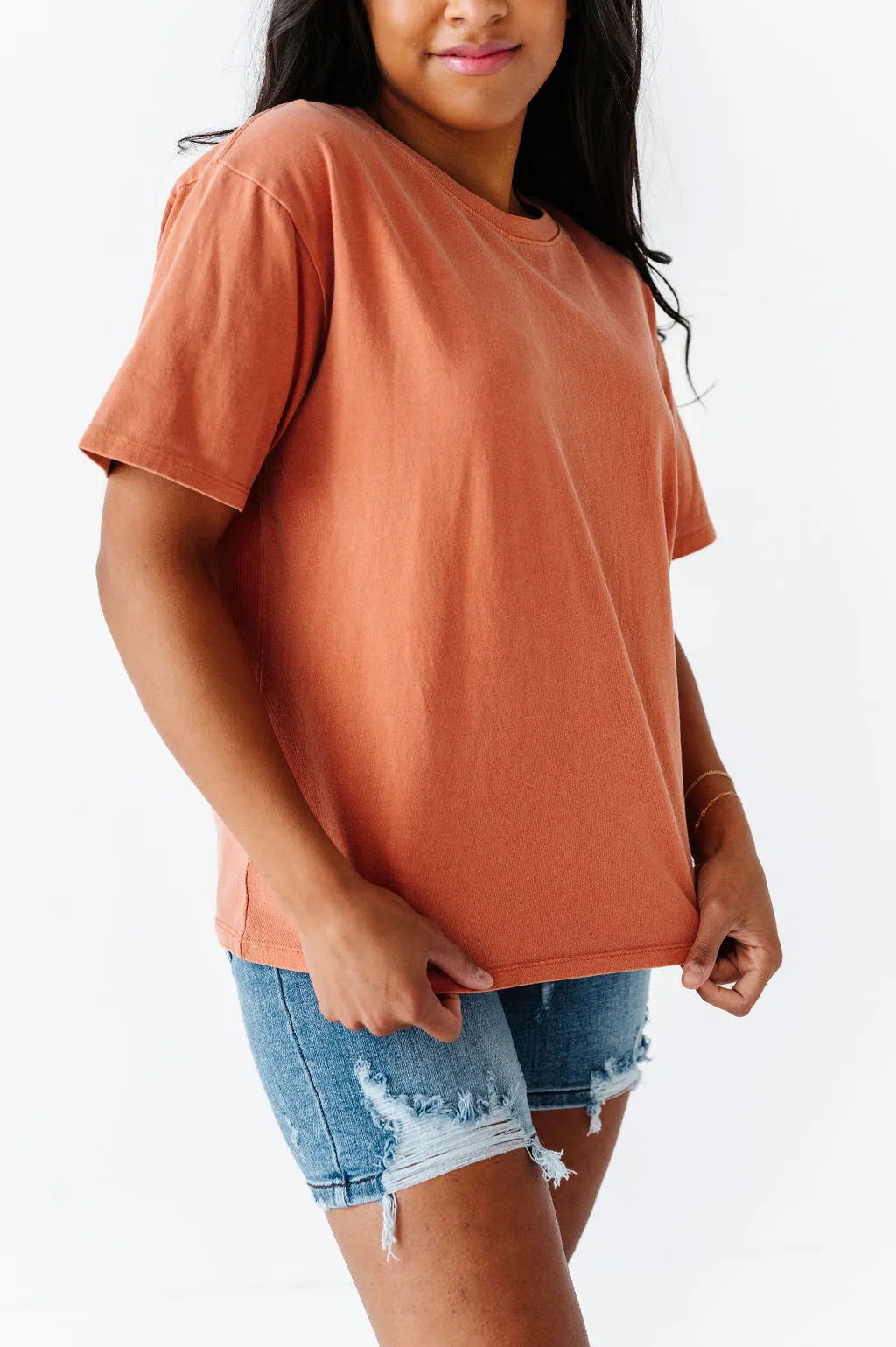 Dakota Crewneck Tee in Baked Clay