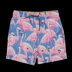 Shady Flamingo Boys 4 way Stretch Swim Trunk